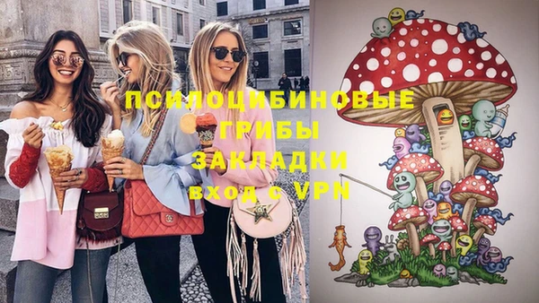 mdpv Гусев